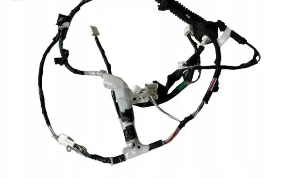 Front door wiring loom