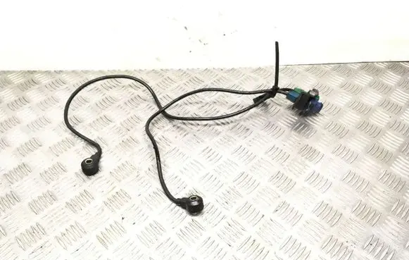 Audi A4 S4 B5 8D Other wiring loom 8E0971845A