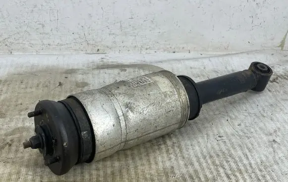 Land Rover Range Rover Sport L320 Air suspension front shock absorber 22231454 RNB500493