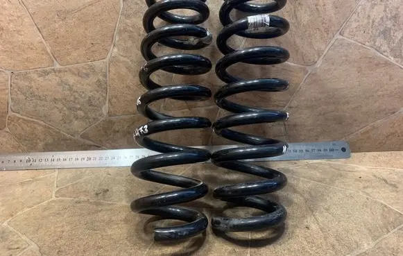 Rear coil spring