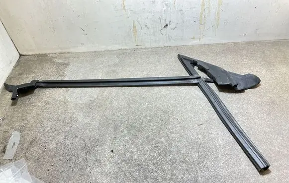 BMW 2 F44 Rubber seal front door (on door) 