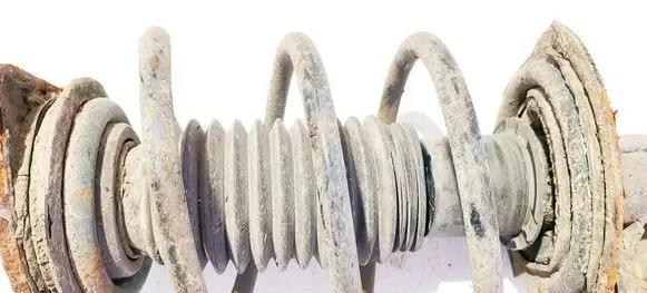 Front coil spring