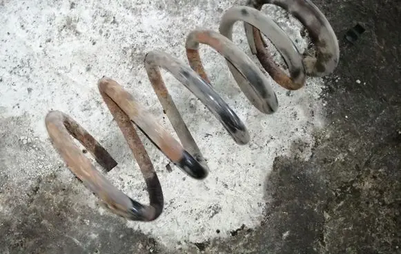 Rear coil spring