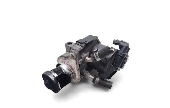 BMW X1 E84 EGR valve 7810871