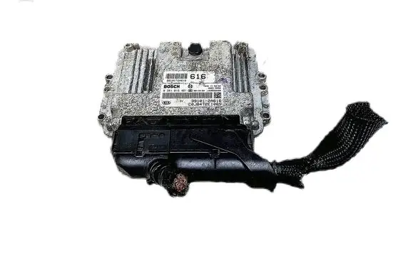 KIA Rio Engine control unit/module 391012A616