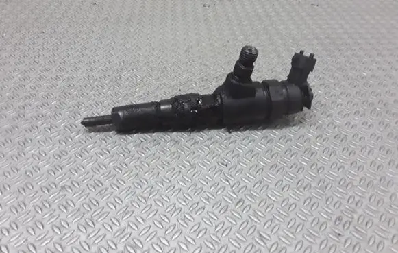 Peugeot 206 Fuel injector