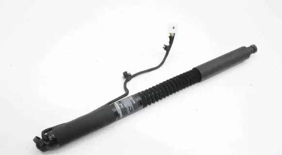 Tesla Model X Other devices 106344001D