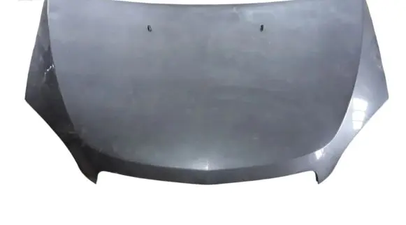 Engine bonnet/hood
