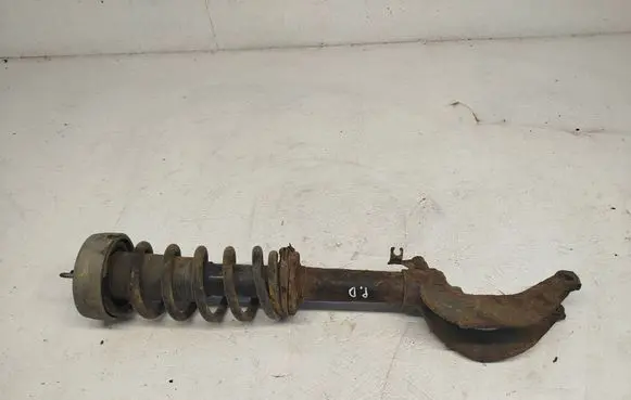 BMW X5 E70 Front shock absorber with coil spring 3132678192001