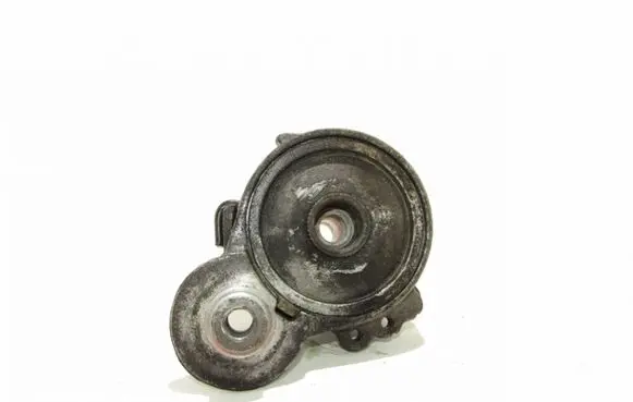 Ford Focus C-MAX Alternator belt tensioner Nėra