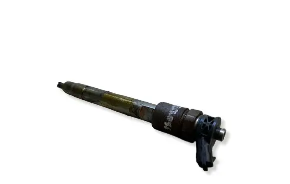 Citroen C3 Aircross Fuel injector 0445110955