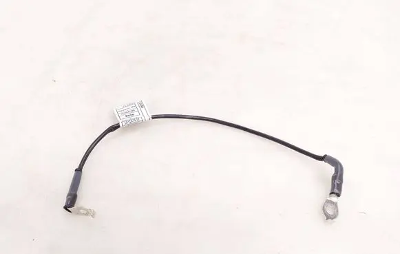 BMW iX1 Other wiring loom 5A1CA76 767004105A 5A1CA75