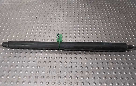 Tailgate strut