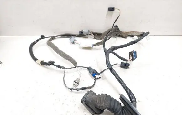 Renault Espace - Grand espace IV Front door wiring loom 8200778783