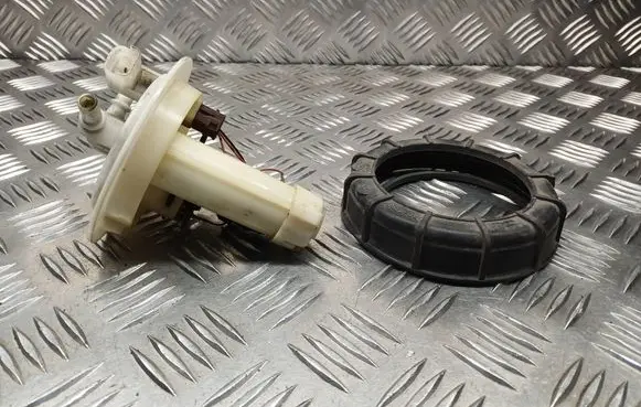 Peugeot 607 In-tank fuel pump 9636403980 09731009900