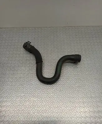 Mercedes-Benz A W169 Engine coolant pipe/hose A1695010782