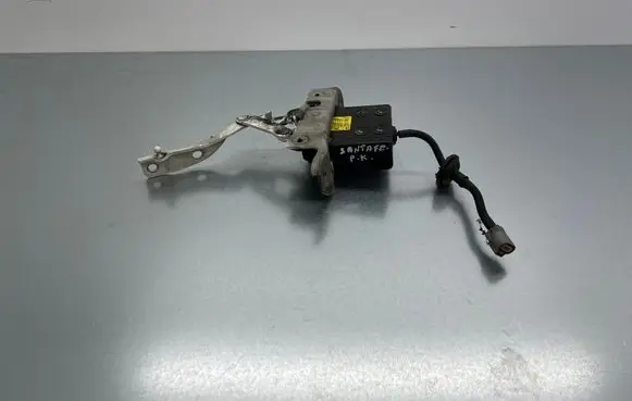 Hyundai Santa Fe Engine bonnet/hood hinges 791502W000