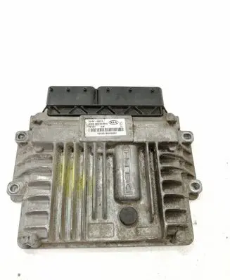 KIA Carnival Engine control unit/module 391044X910
