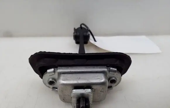 Nissan Qashqai Front door check strap stopper 