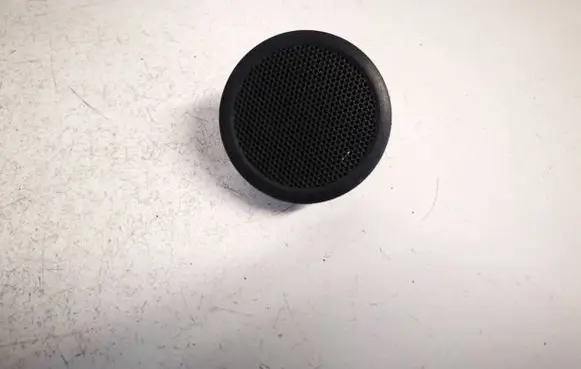 Front door speaker