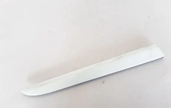 Fender trim (molding)