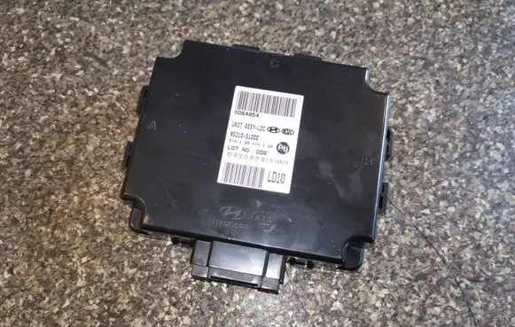 Hyundai Santa Fe Other control units/modules 95310S1000