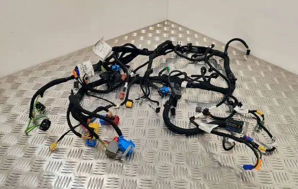 Citroen Jumpy Other wiring loom 9817816680 13470023 6P105601
