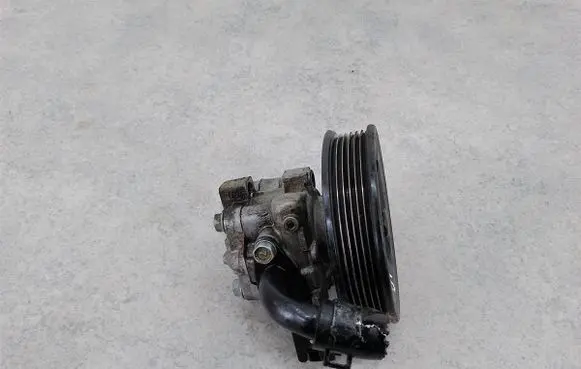 KIA Carens II Power steering pump 