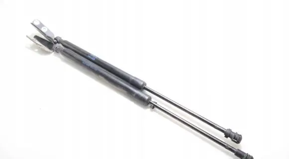 Front bonnet/hood damper/strut