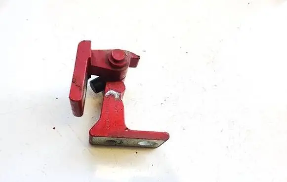 Rear door lower hinge