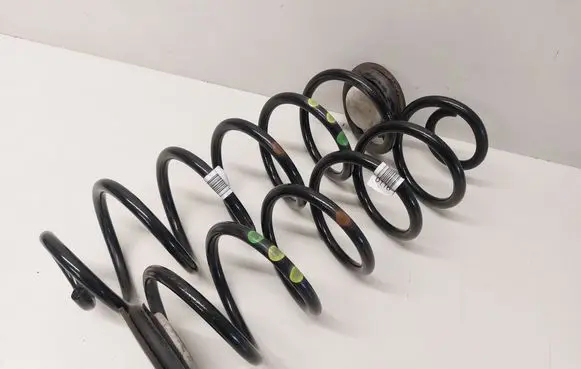 Rear coil spring