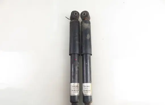 Opel Vivaro Rear shock absorber/damper 315865