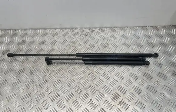 Tailgate/trunk strut/damper