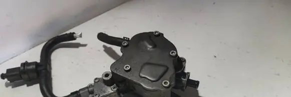 Volkswagen Golf V Fuel injection high pressure pump 038145209N 071029B