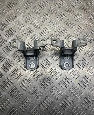 Renault Latitude (L70) Front door hinge set 
