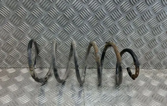 Volvo S60 Rear coil spring 31329366