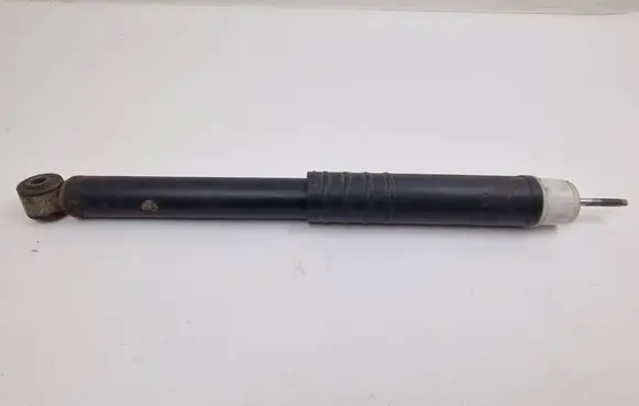 Renault Zoe Rear shock absorber/damper 552405569R