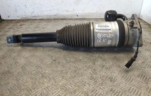 Bentley Flying Spur Shock absorber/damper/air suspension 3W5616001B