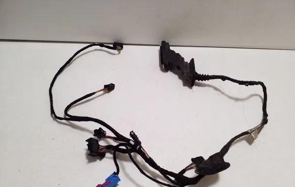 Front door wiring loom