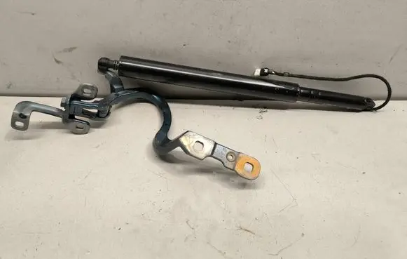 BMW iX Tailgate/trunk/boot hinge 9630148 7954154
