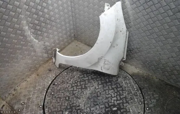 Ford Fiesta Fender