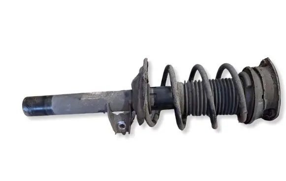 Skoda Octavia Mk3 (5E) Front shock absorber/damper 315910 82490301354