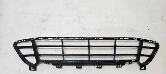 BMW X1 F48 F49 Front bumper lower grill 7954220