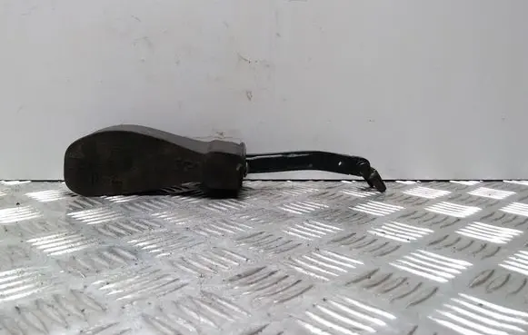 Rear door check strap stopper