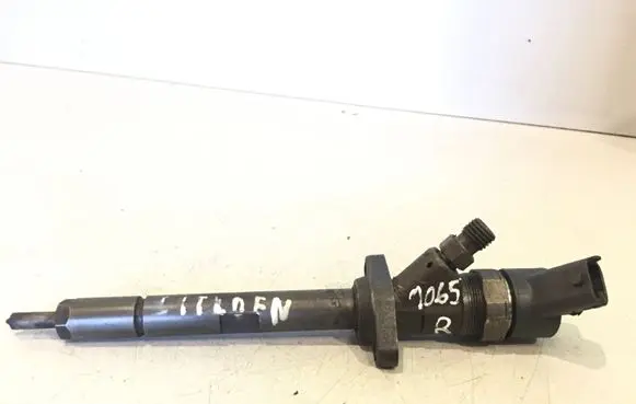 Citroen C5 Fuel injector 0445110036 9637277980