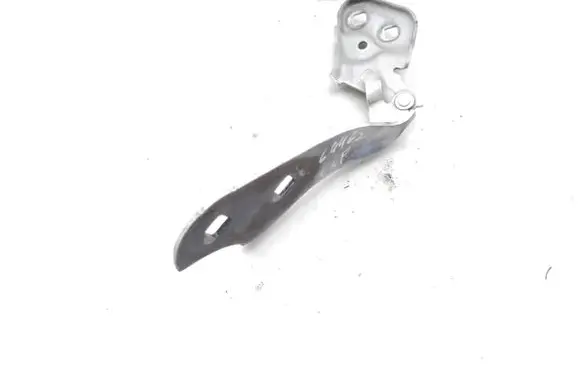 Tesla Model 3 Engine bonnet/hood hinges 