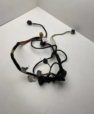 Front door wiring loom