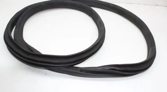 BMW i4 Rubber seal rear door 