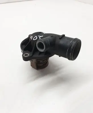 Thermostat/thermostat housing