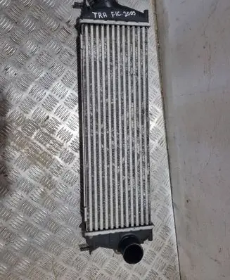 Renault Trafic II (X83) Intercooler radiator 988650BB 93854162 8200411160C